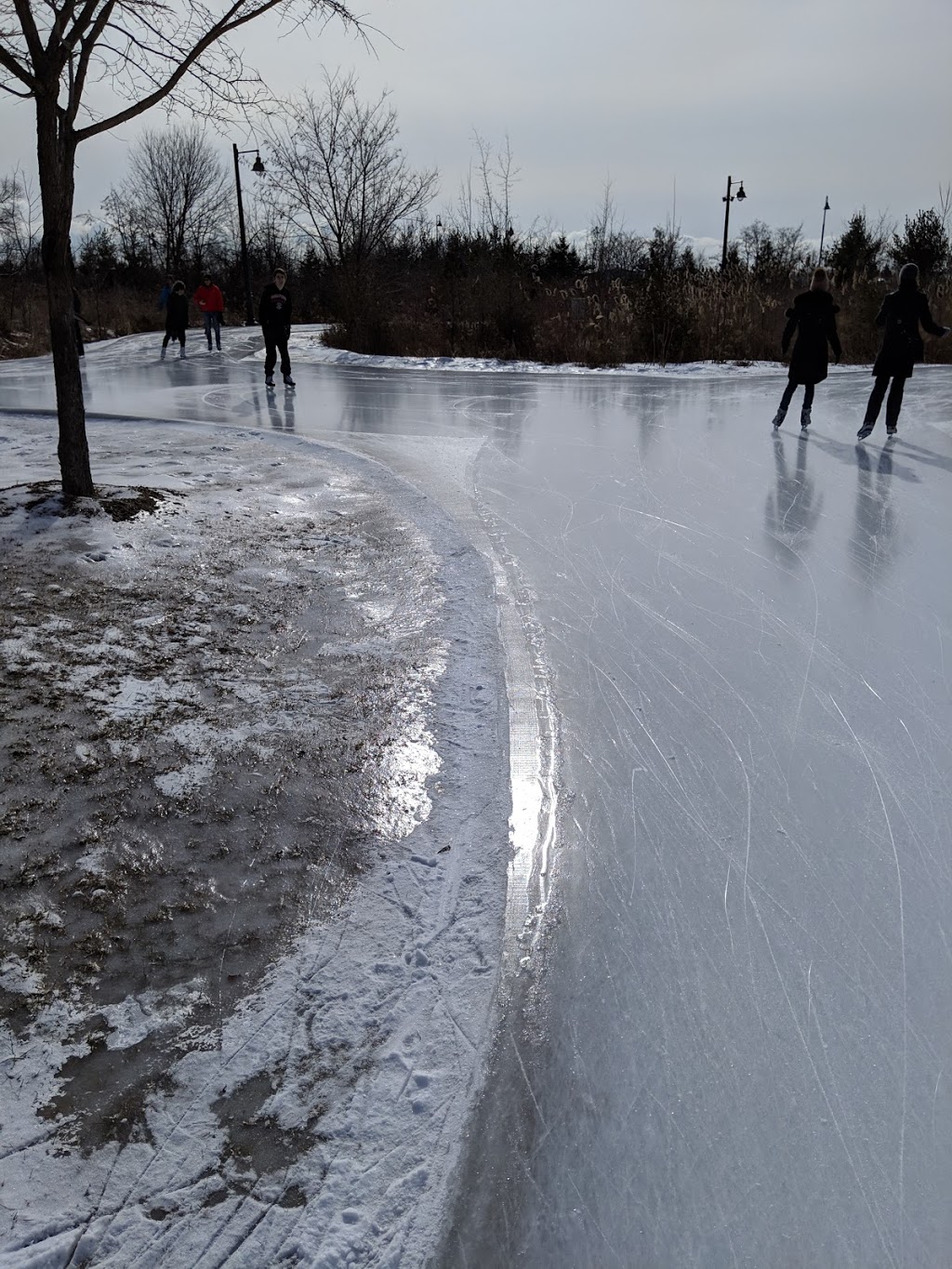 Colonel Samuel Smith Skating Trail | 65 Colonel Samuel Smith Park Dr, Etobicoke, ON M8V 4B6, Canada | Phone: (416) 392-9715