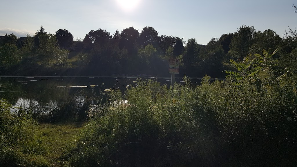 Quaker Common | Quaker Village Dr, Uxbridge, ON L9P 1A6, Canada