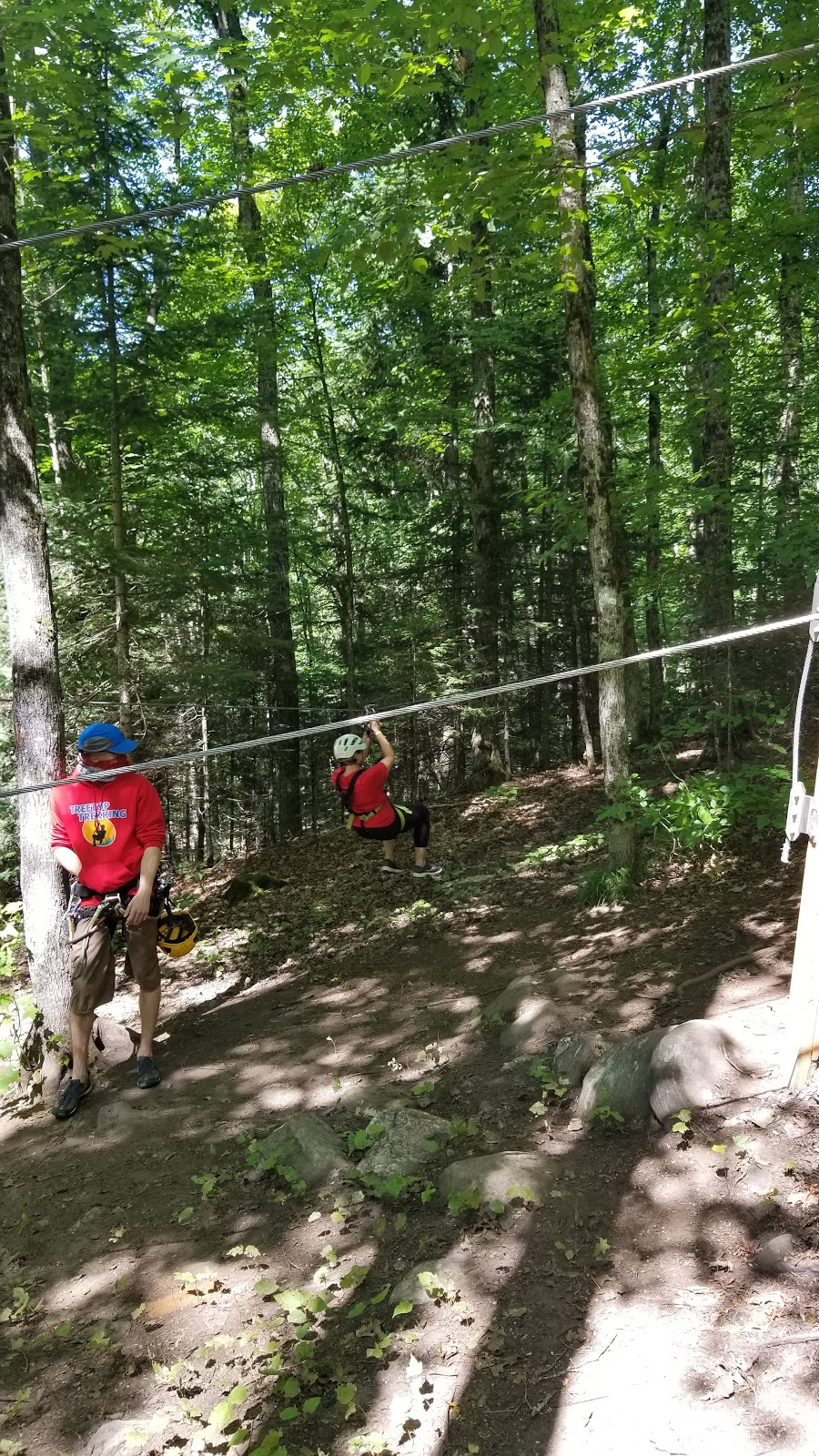 Treetop Trekking Huntsville | 1180 ON-60, Huntsville, ON P1H 1A9, Canada | Phone: (855) 788-9009