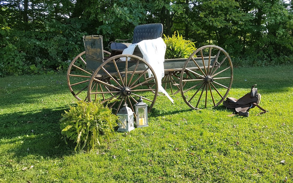 Equarius Weddings and Events | Monck Rd, Kawartha Lakes, ON L0K 1W0, Canada | Phone: (705) 330-2444