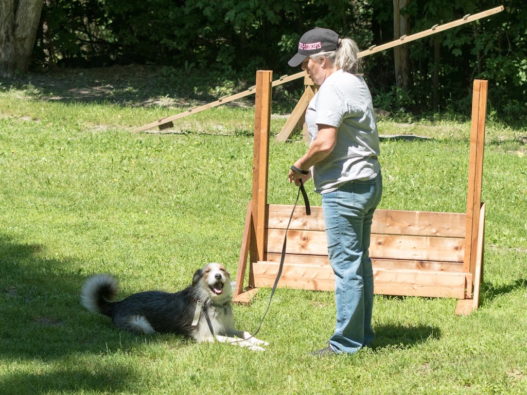 TnT K-9 Concepts | 471 Chem. Saint-Antoine, Val-des-Monts, QC J8N 7H8, Canada | Phone: (819) 671-6464