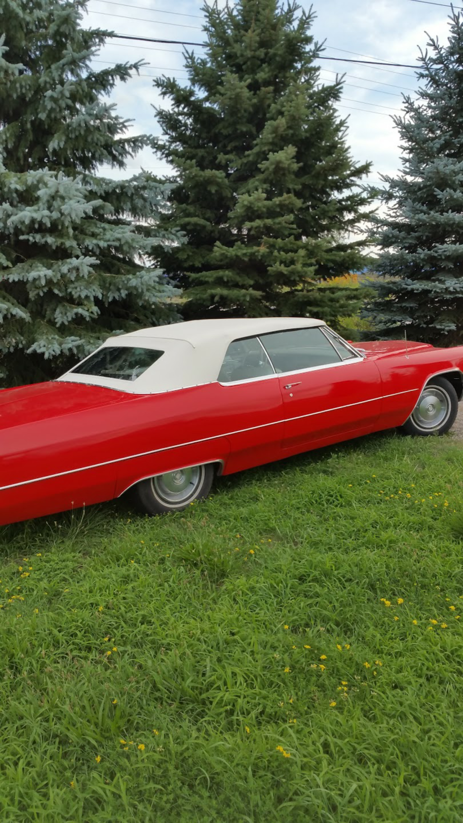 Coventry Classic Auto Glass & Trim | 7204 Simcoe County Rd 5, Everett, ON L0M 1J0, Canada | Phone: (647) 382-3985