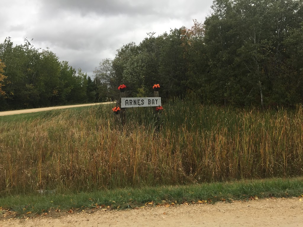 Odin Fisheries | Silver Creek Rd, Arnes, MB R0C 2R0, Canada | Phone: (204) 407-8926