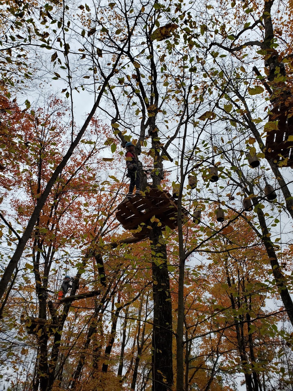 Treetop Trekking Huntsville | 1180 ON-60, Huntsville, ON P1H 1A9, Canada | Phone: (855) 788-9009