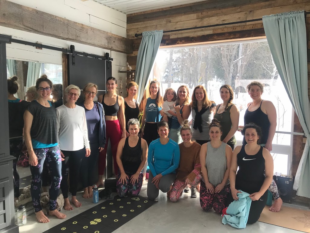 Le Shed Studio | 43 Chemin du Lac Écho, Morin-Heights, QC J0R 1H0, Canada | Phone: (514) 709-0808