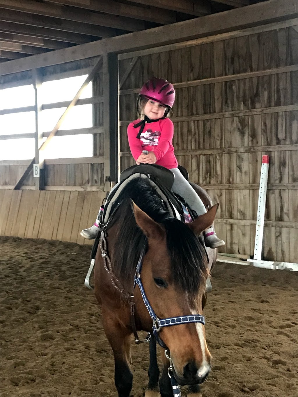 Greenfield Stables | 1864 Greenfield Rd, Cambridge, ON N1R 5S5, Canada | Phone: (519) 716-9600