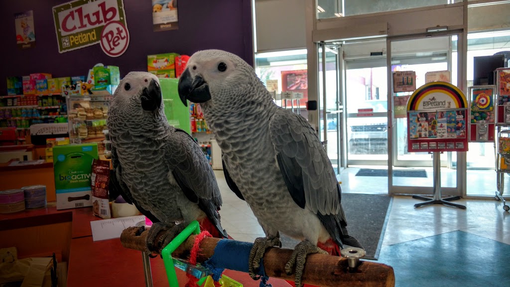 Petland | 3363 26 Ave NE, Calgary, AB T1Y 6L4, Canada | Phone: (403) 543-7711