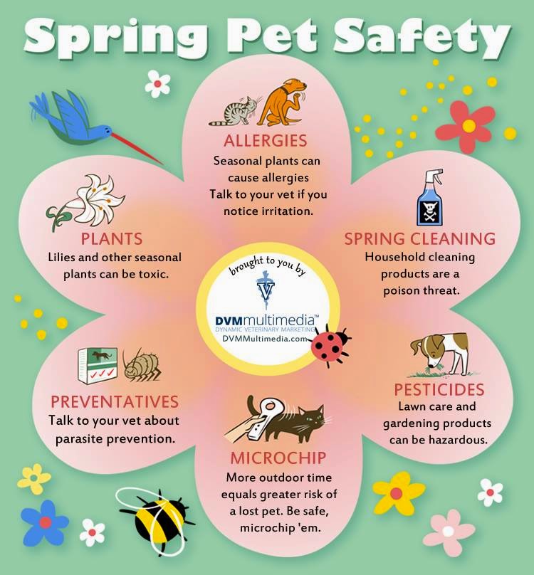 Glenn Mountain Animal Hospital | 2596 McMillan Rd #105, Abbotsford, BC V3G 1C4, Canada | Phone: (604) 852-3030