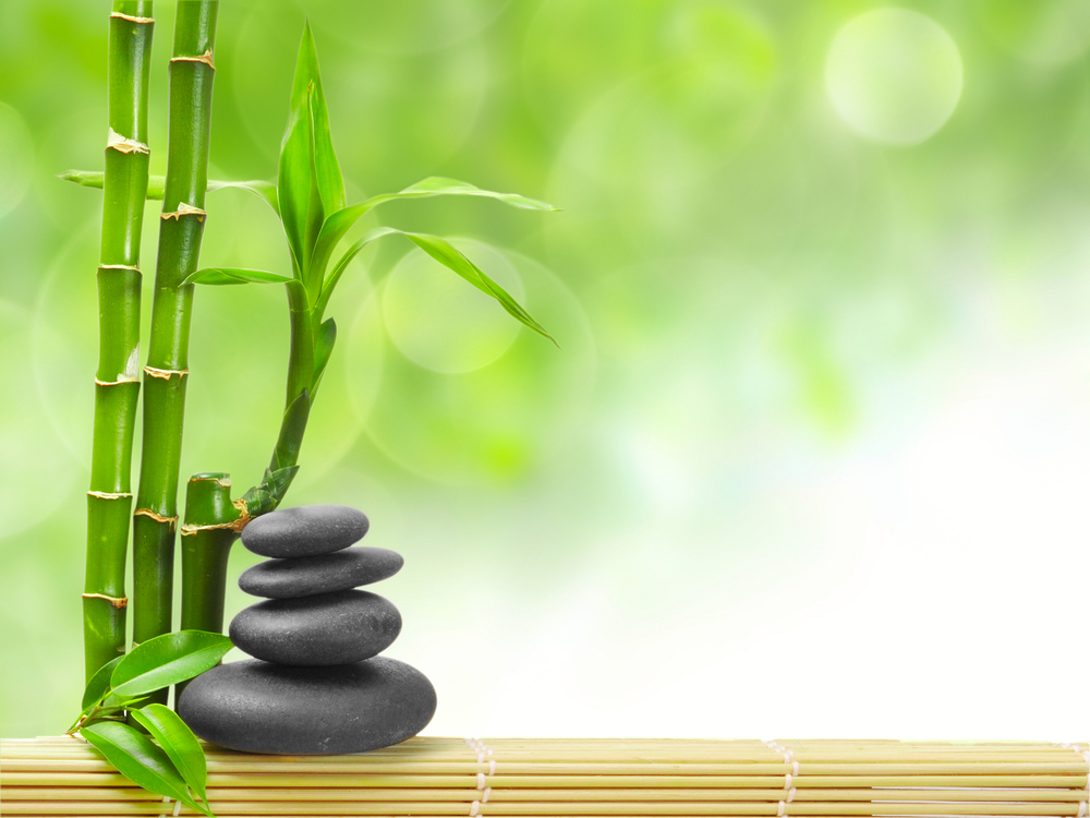 Dorothy Knight Reiki | 4060 Ridgeway Dr, Mississauga, ON L5L 5S9, Canada | Phone: (416) 828-1157