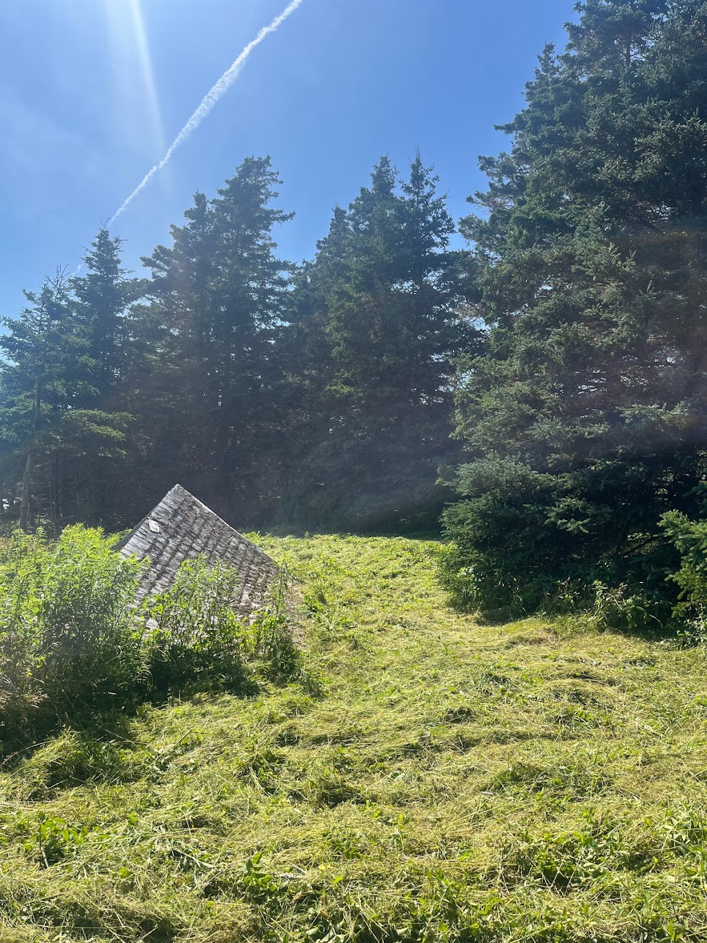Sean Ashe Forestry | 1940 NS-211, Sherbrooke, NS B0J 3C0, Canada | Phone: (902) 318-0066