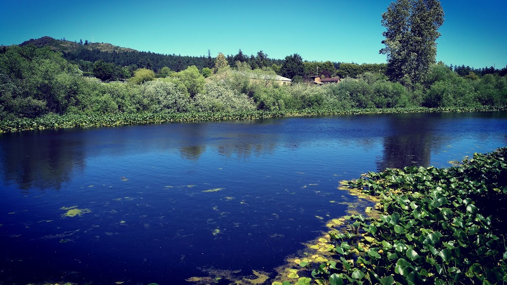 Stoneywood Park | 5C7, Stoneywood Ln, Victoria, BC V8X 5C7, Canada