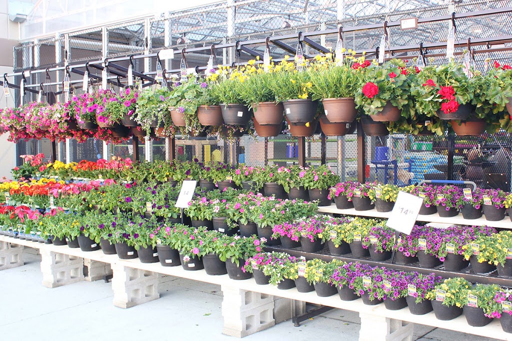Lowes Home Improvement | 685 Laval Dr, Oshawa, ON L1J 0B6, Canada | Phone: (905) 436-4940