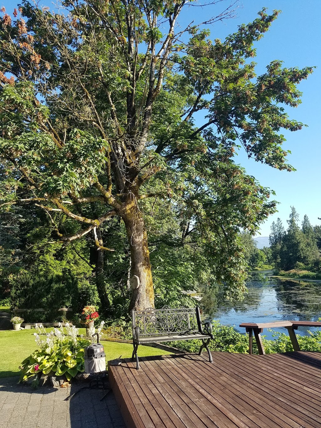 Camp River Wildlife Area | Rosedale, Chilliwack, BC V4Z 0B6, Canada