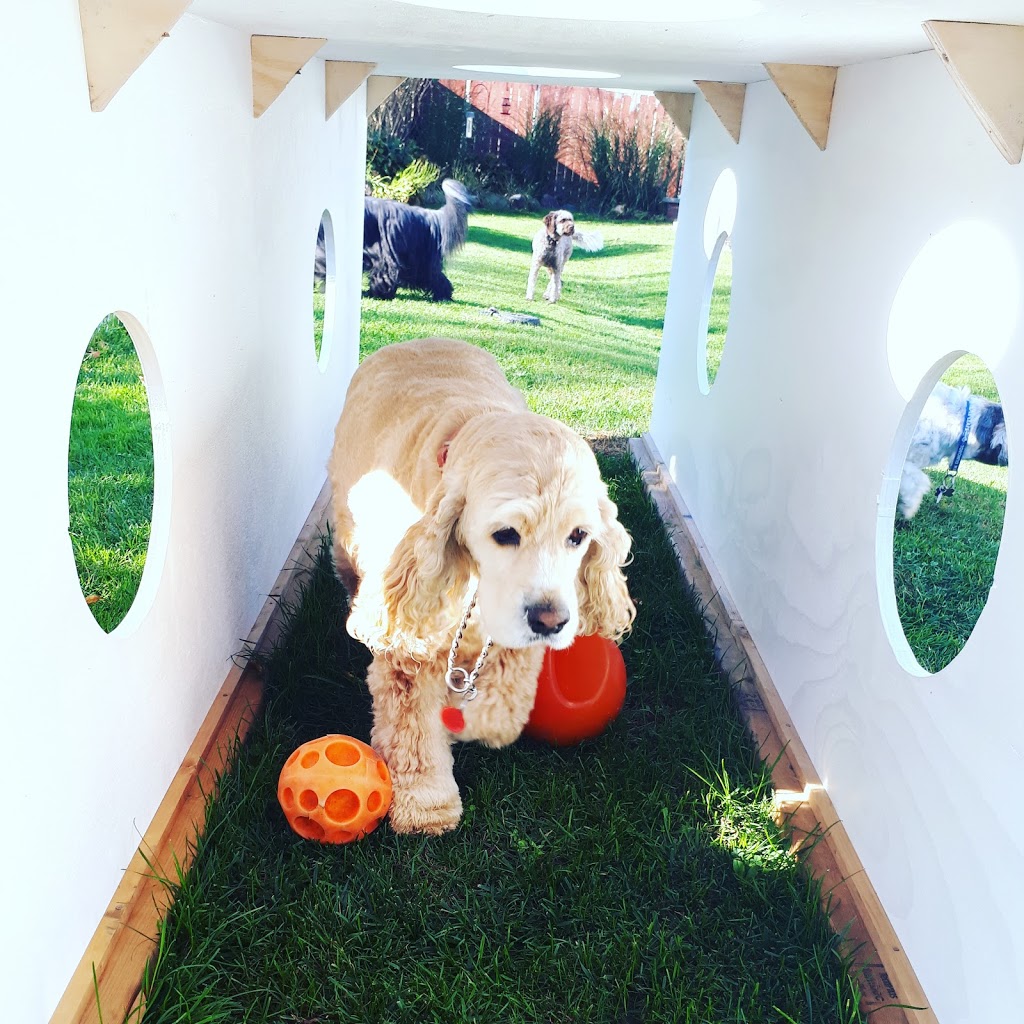 Chriss Dog Hotel No Cages Luxury Pet Resort | 1205 Moira St W, Belleville, ON K8R 1G1, Canada | Phone: (613) 968-4004