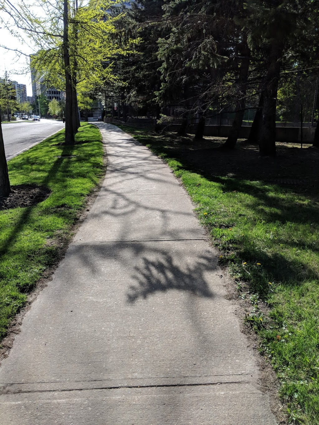 Tom Riley Park | 3216 Bloor St W, Etobicoke, ON M8X 1Z4, Canada | Phone: (416) 338-4386