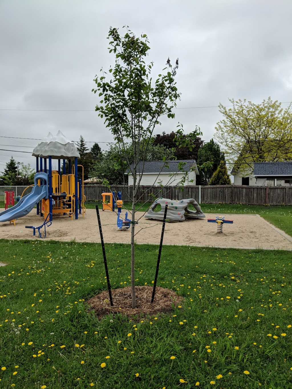 Parc de laréna | 97 Rue de lAréna, Gatineau, QC J8M 1C8, Canada