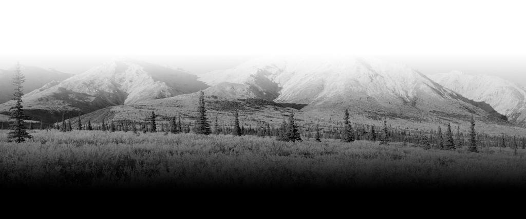 Taiga web communications | 44 Ch de Hatley, Compton, QC J0B 1L0, Canada | Phone: (819) 835-5544