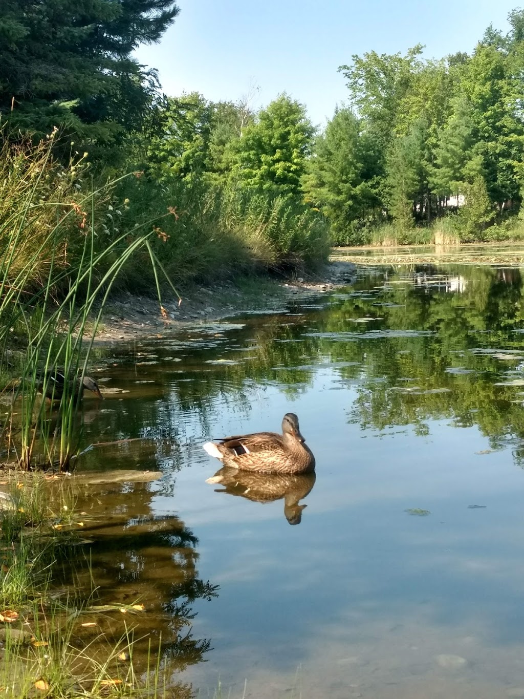 Paul Lindsay Park | 81 Trailway Cir, Stittsville, ON K2S 1E2, Canada