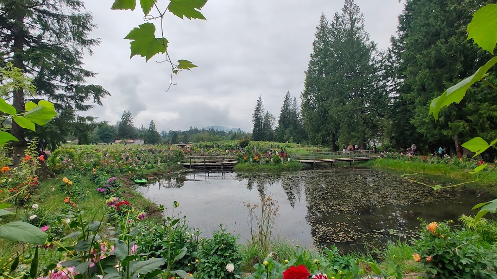 Shangrila Farm | 13842 Spratt Rd, Fraser Valley F, BC V2V 4J1, Canada | Phone: (604) 998-7843