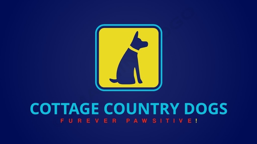 Cottage Country Dogs | 499 Bay St B, Orillia, ON L3V 3X8, Canada | Phone: (647) 520-9728