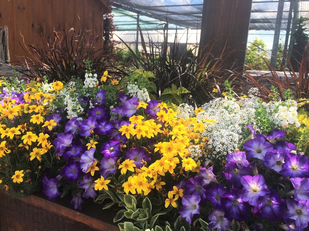 Lucan Country Gardens | 34603 Richmond St, Lucan, ON N0M 2J0, Canada | Phone: (519) 227-1716