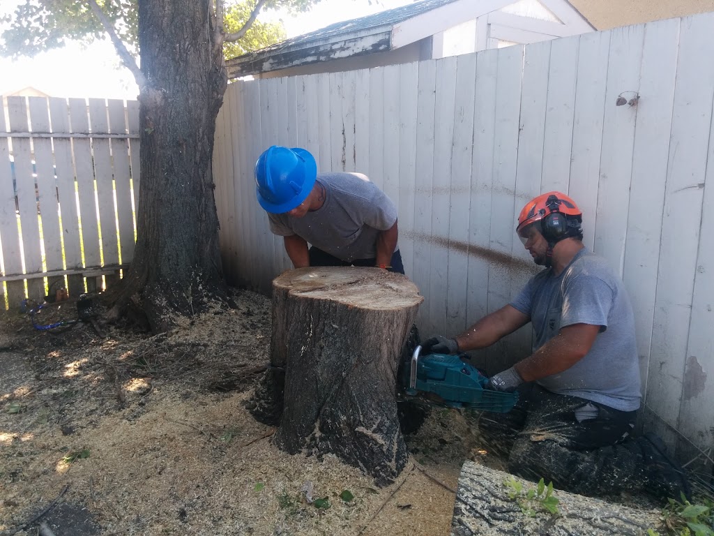 McCharles Tree Service | 3722 57 Ave #22046, Red Deer, AB T4N 6X4, Canada | Phone: (587) 377-5967