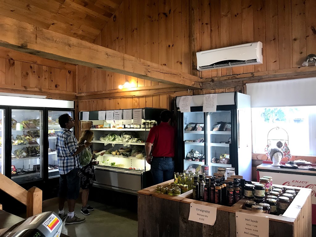 Ferme Jacques et Ginette Trépanier et fils, inc. | 440 QC-323, Papineauville, QC J0V 1R0, Canada | Phone: (819) 983-1639