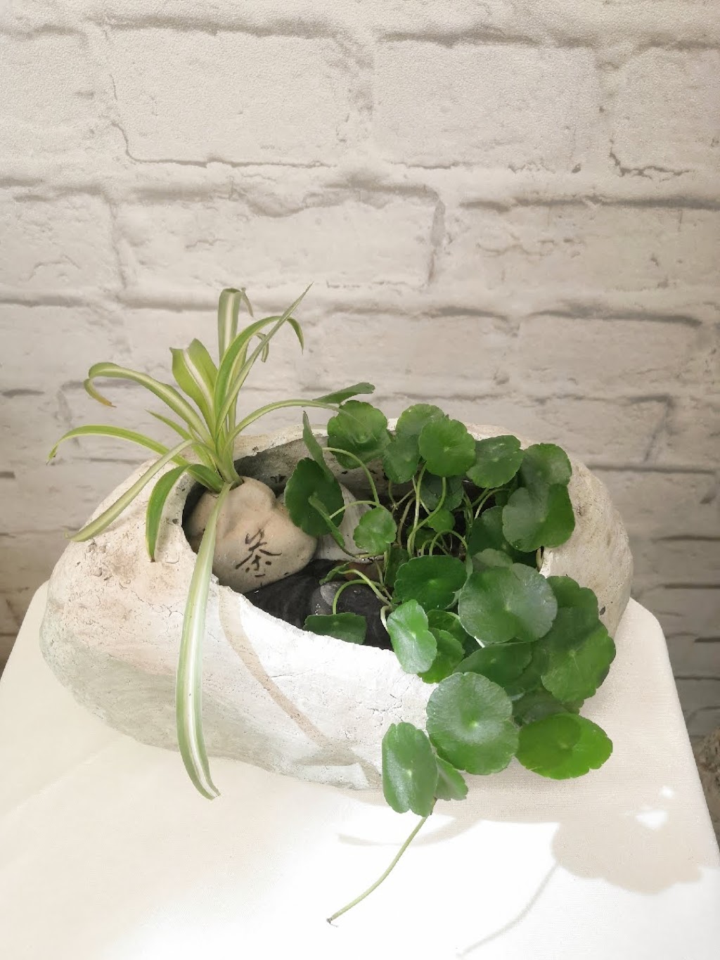 Floral Moment 时光花房 | 95 Major Buttons Dr, Markham, ON L3P 3X4, Canada | Phone: (647) 989-8907