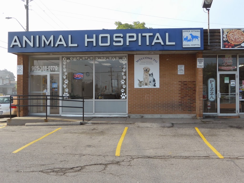 Upper Ottawa Animal Hospital | 868 Mohawk Rd E, Hamilton, ON L8T 2R5, Canada | Phone: (905) 388-0770
