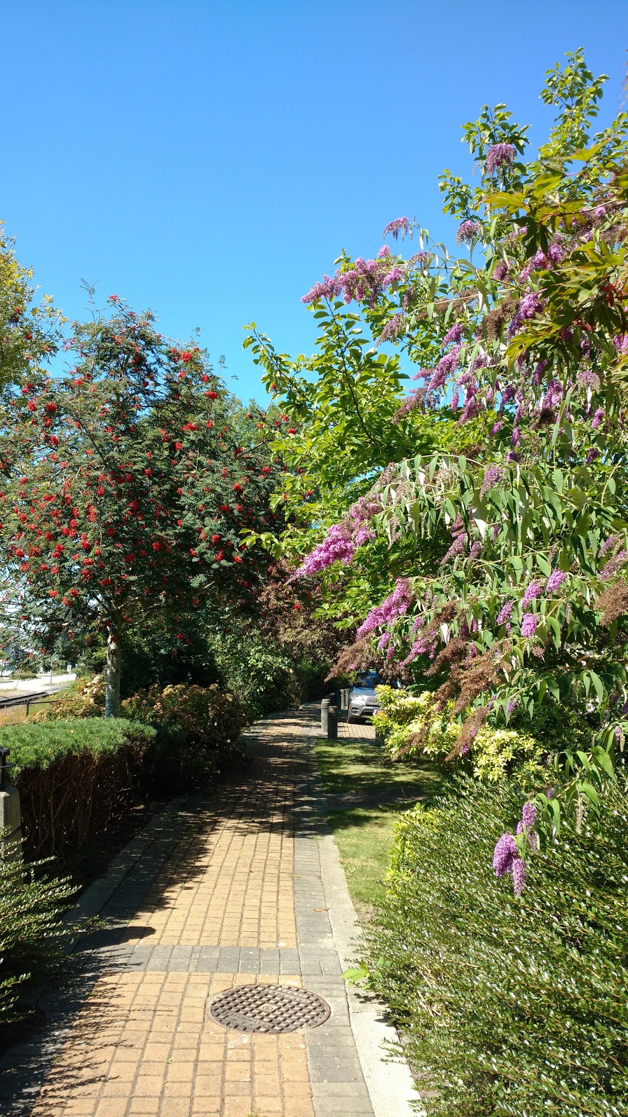 Port Royal Community Garden | 86 Star Crescent, New Westminster, BC V3M 6X5, Canada | Phone: (604) 521-3711