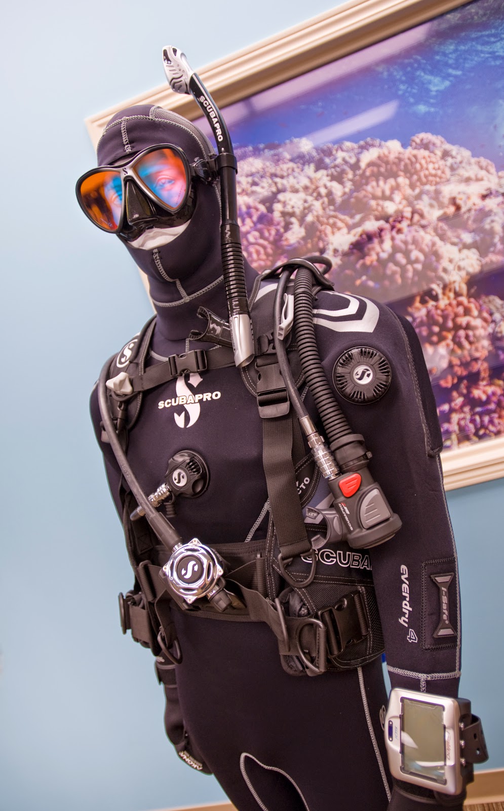 Blue Oasis Dive Centre Ltd. | 440 Watt St, Winnipeg, MB R2K 2R8, Canada | Phone: (204) 253-2583