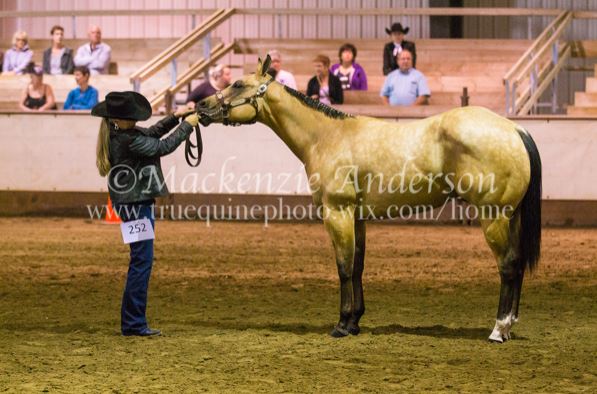 Eagle Hill Equine | Range Rd 42, Eagle Hill, AB T0M 1C0, Canada | Phone: (403) 556-1195