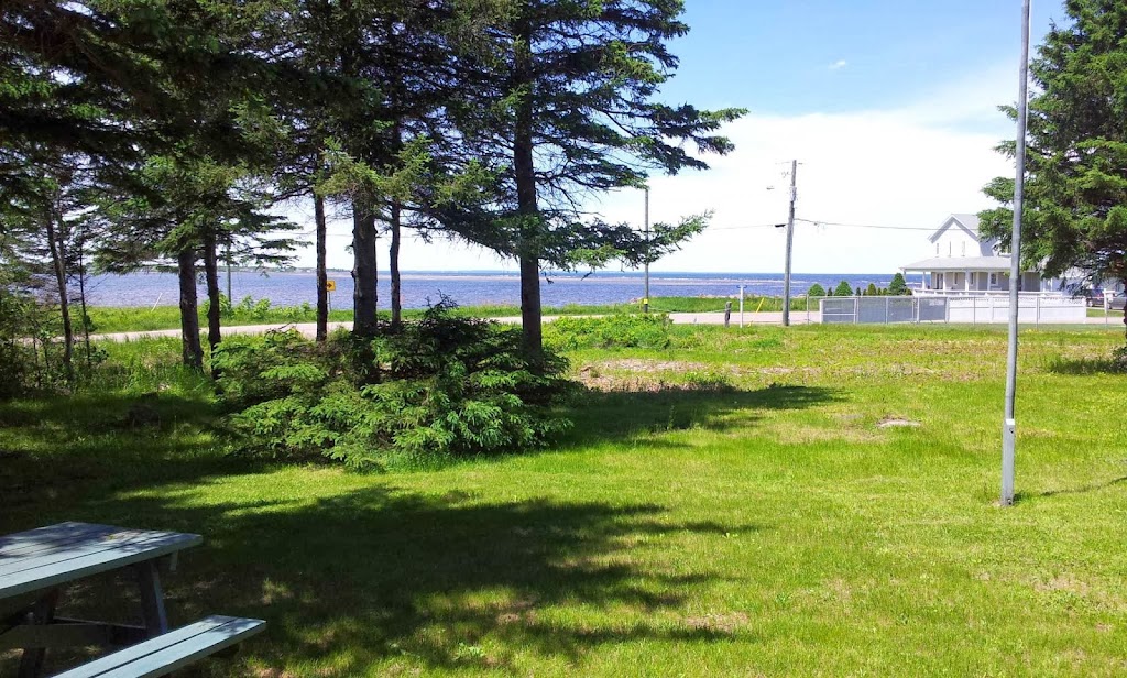Carus Terra Inc. | 83 De la Brèche Rd, Grand-Barachois, NB E4P 7B8, Canada | Phone: (514) 817-7762
