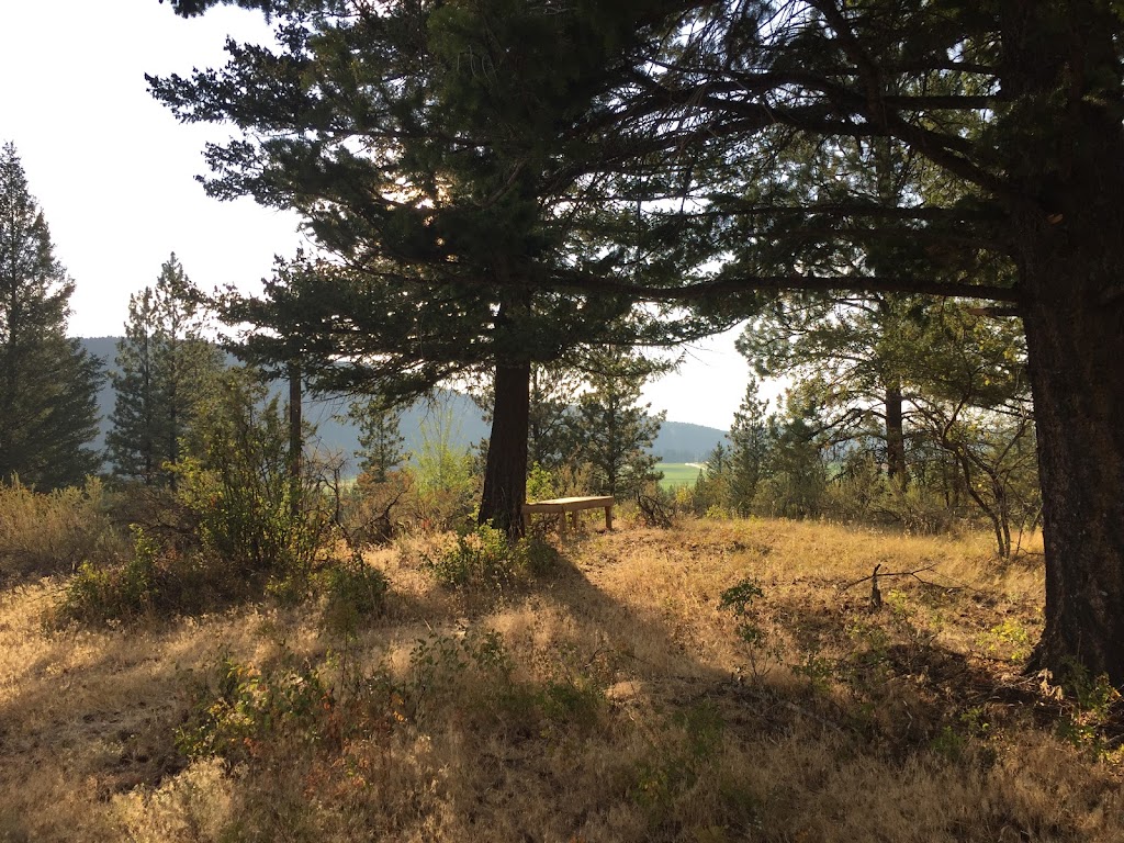 Clear Sky Meditation and Study Center | Cockell Rd, Bull River, BC V0B 1N0, Canada | Phone: (250) 429-3929