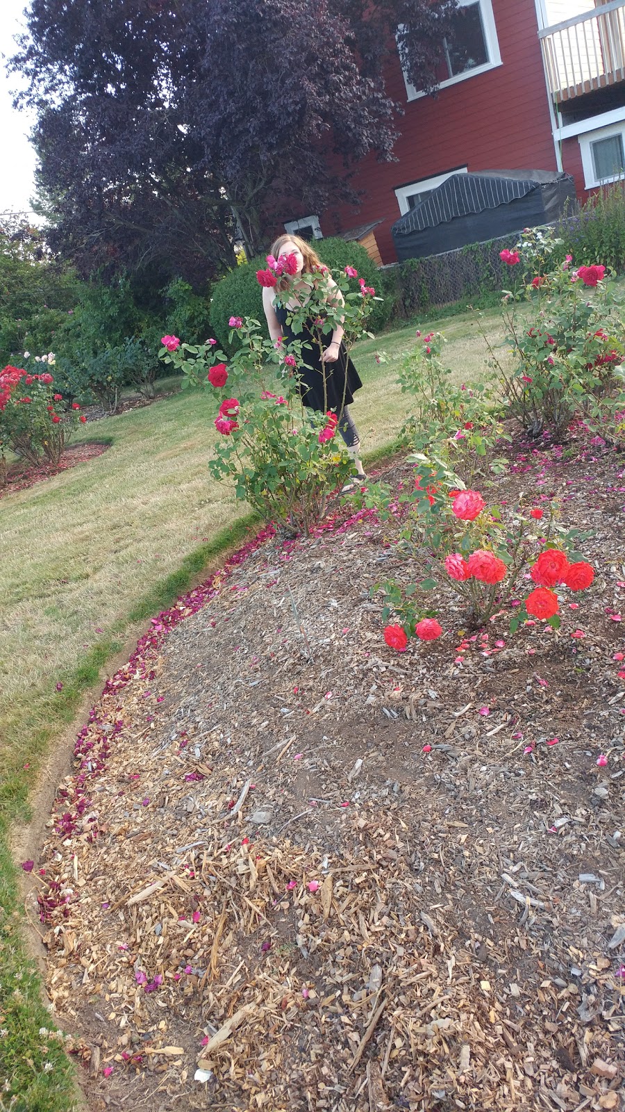 Whatcom County Parks & Rec | 2600 Sunset Dr, Bellingham, WA 98225, USA | Phone: (360) 733-2900