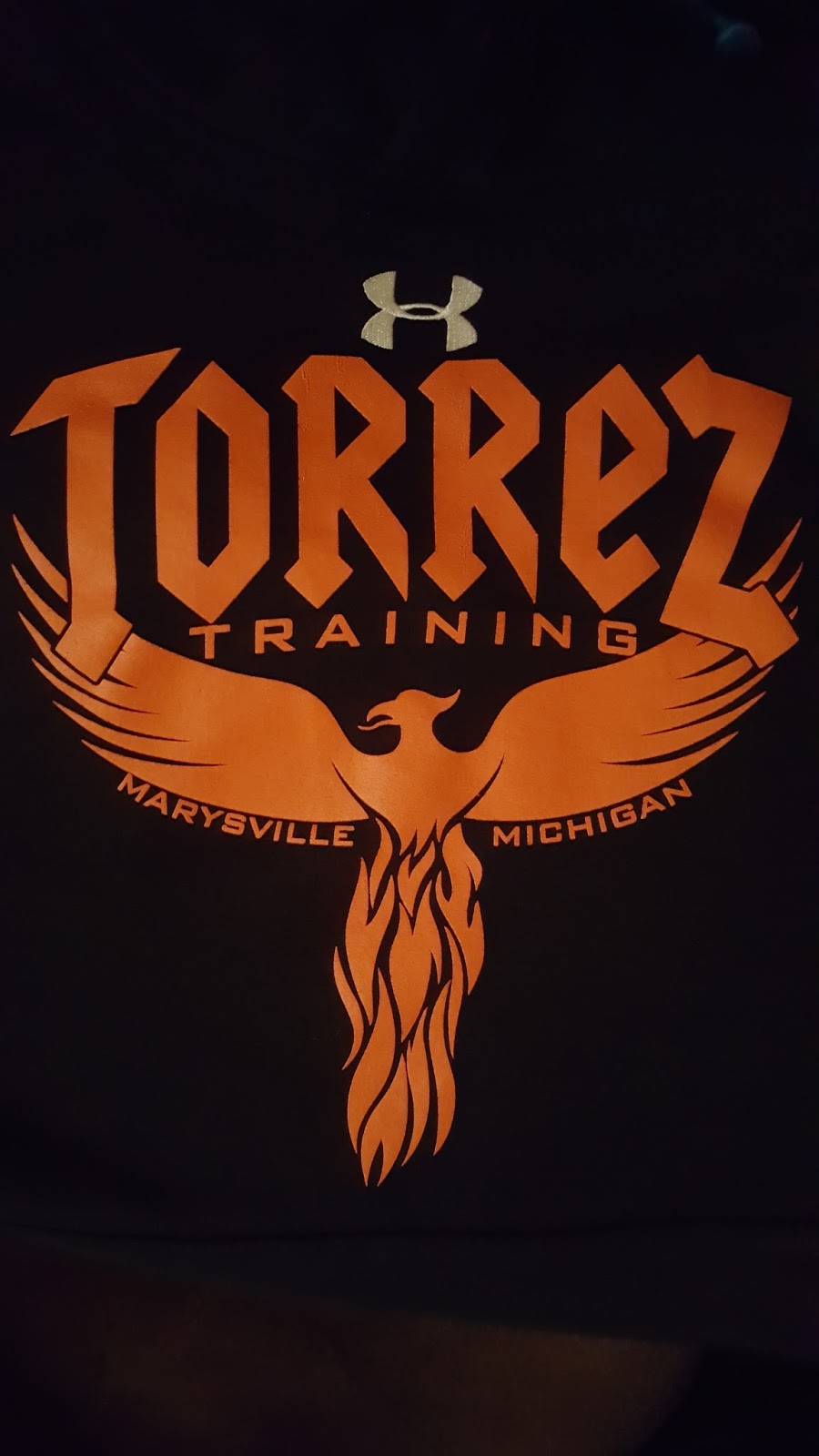 Torrez Training | 3270 Gratiot Blvd, Marysville, MI 48040, USA | Phone: (810) 712-0216