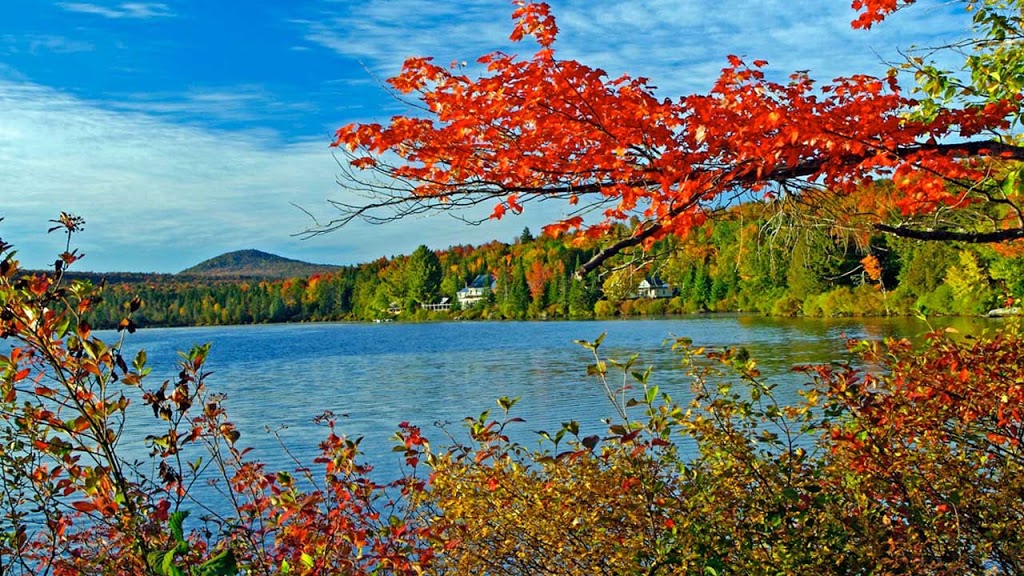 Quimby Country | 1127 Forest Lake Rd, Norton, VT 05907, USA | Phone: (802) 822-5533