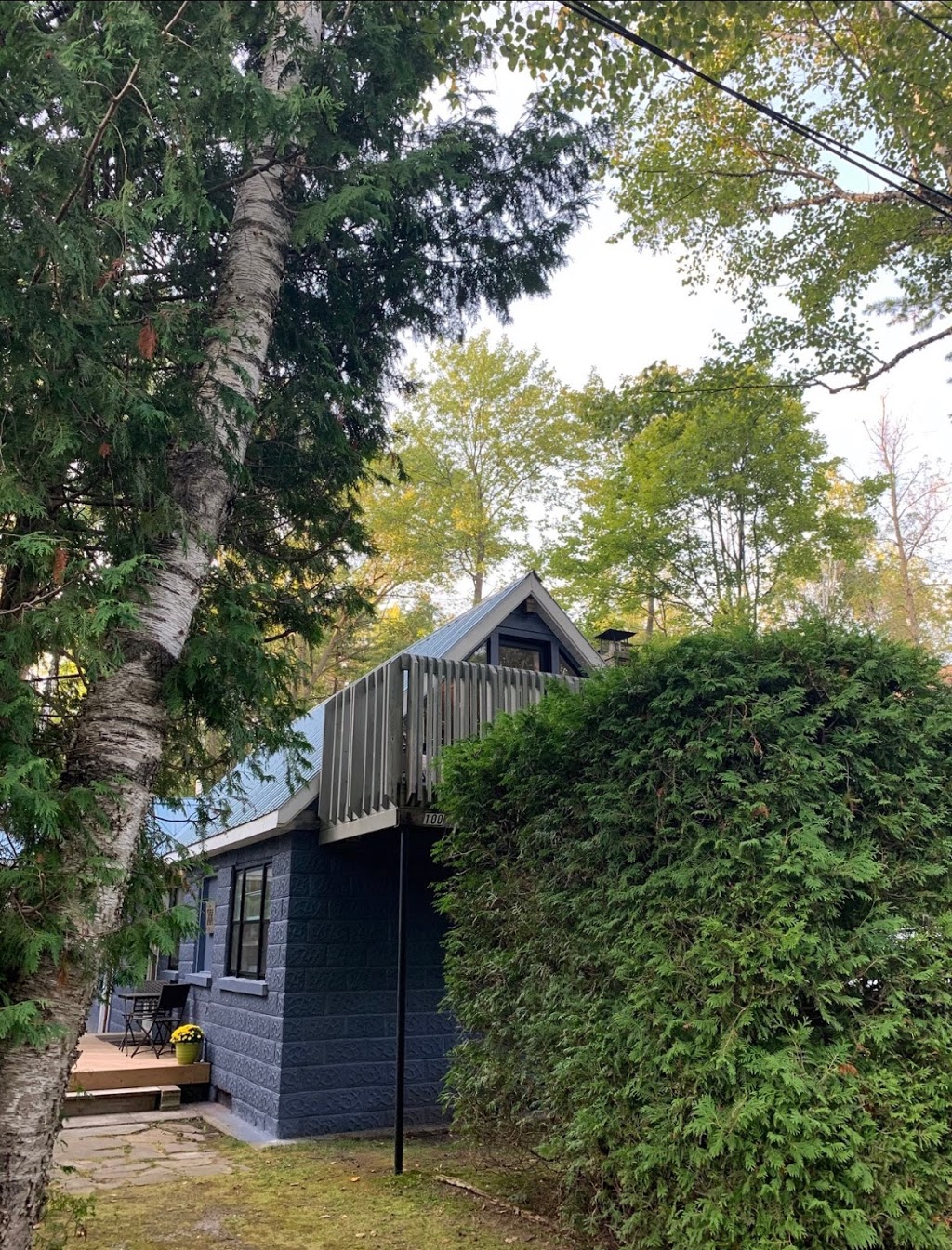 Elezis House | 100 Pinecrest Ave, Wasaga Beach, ON L9Z 1X3, Canada | Phone: (647) 782-5203