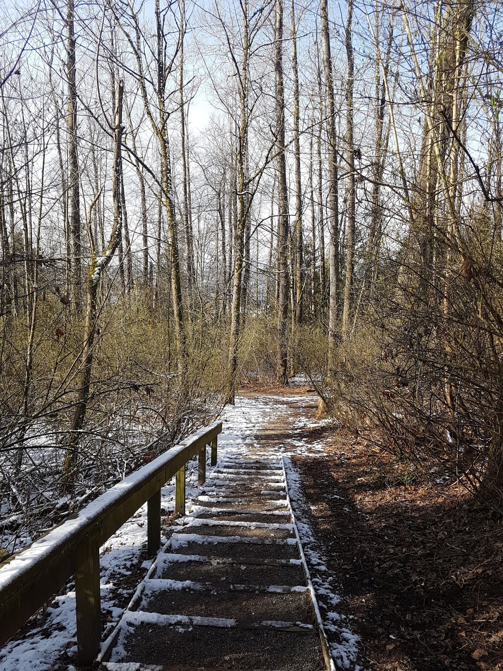 Royal Heights Park | 9797 115a St, Surrey, BC V3V 3Z1, Canada