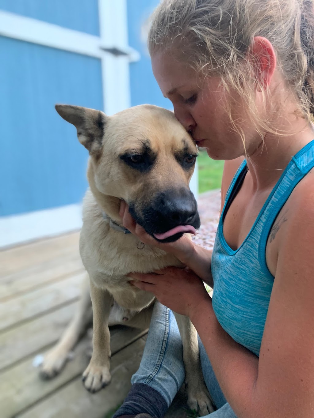Last Minute Dog Rescue | Thomson Rd, Welland, ON L3C 3M8, Canada | Phone: (289) 969-1381