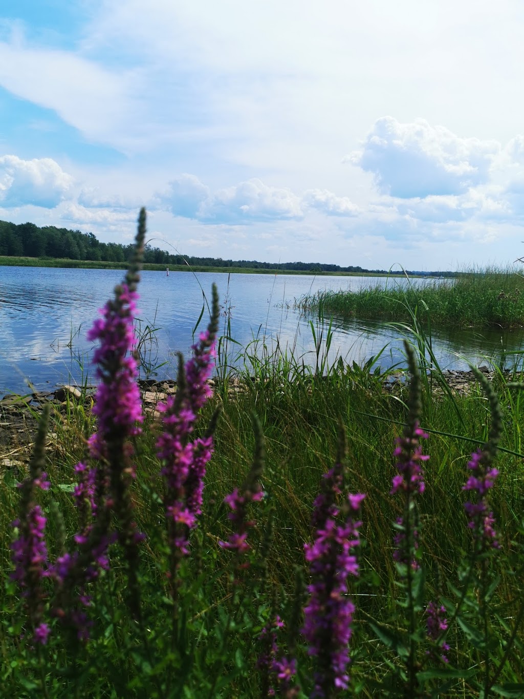 The Mission House Bed and Breakfast | 25 Tilley Rd, Gagetown, NB E5M 1A7, Canada | Phone: (506) 262-2111