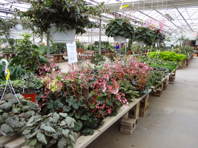 Arber Greenhouses Ltd | Wetaskiwin County No. 10, AB T9A 2Y9, Canada | Phone: (780) 352-7520