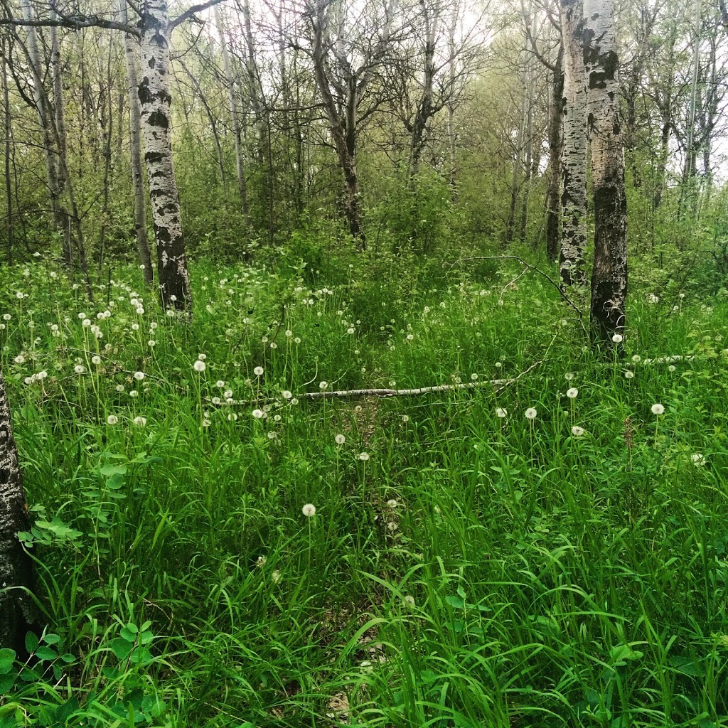 Parkridge Park | 1219 McCormack Rd, Saskatoon, SK S7M 5L6, Canada | Phone: (306) 975-3300