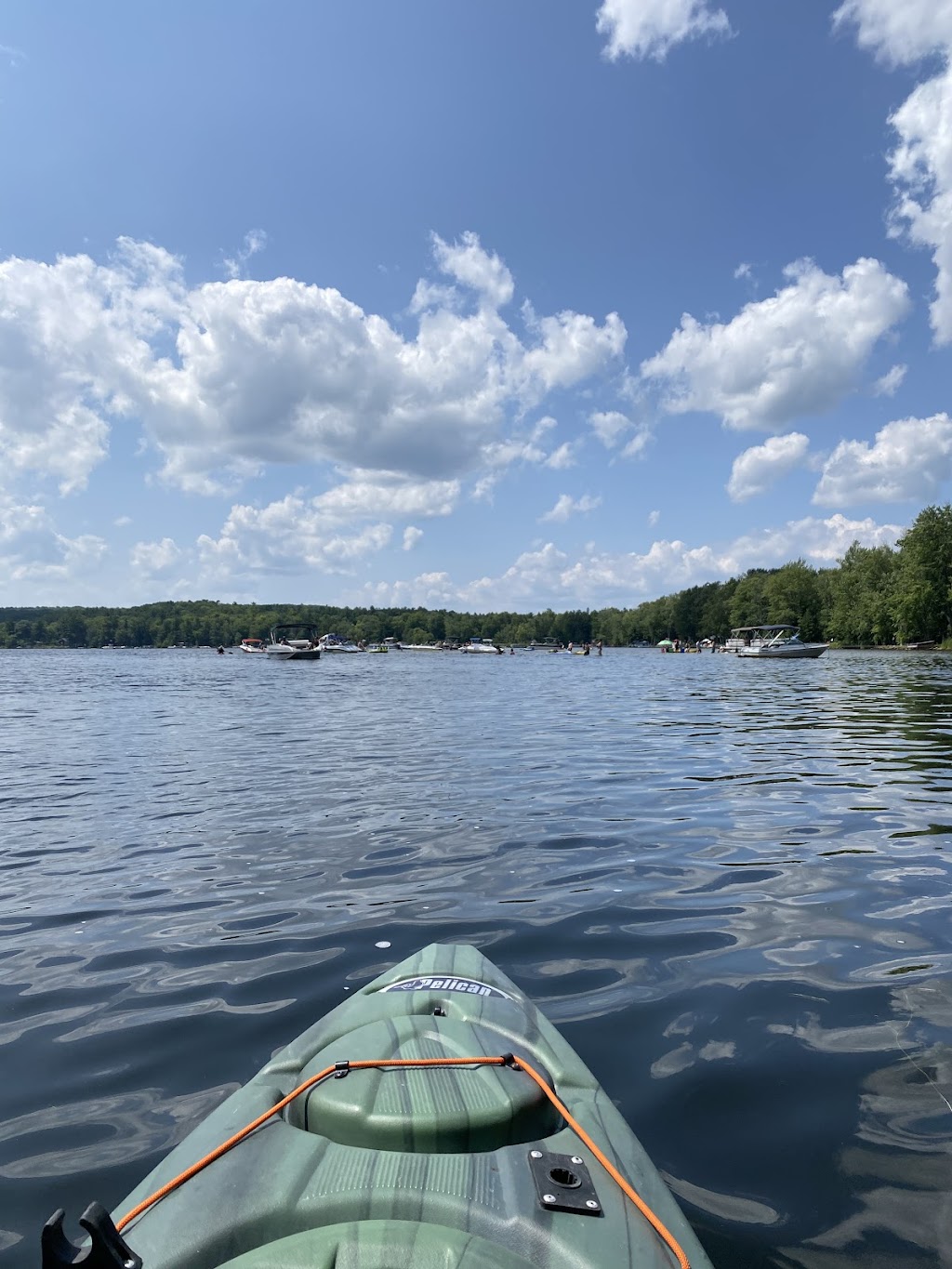 The Wild Life Rentals - Kayak and Paddle Board Rentals | 10 Forsyth St, Marmora, ON K0K 2M0, Canada | Phone: (613) 921-3802