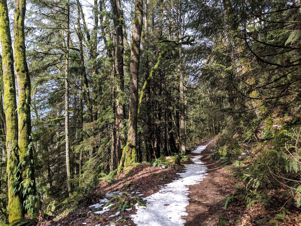 Squires Lake Trail Parking | 170 Old Hwy 99 N, Bellingham, WA 98229, USA