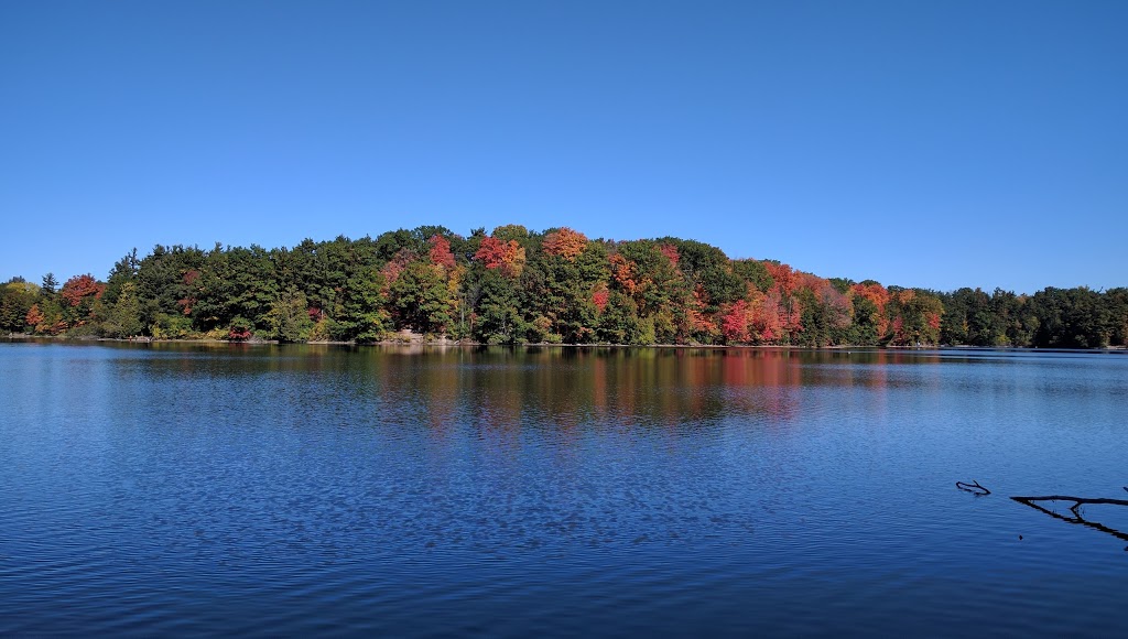 Macleods Landing Park | 213 Shirrick Dr, Richmond Hill, ON L4E 4Y4, Canada | Phone: (905) 771-8800