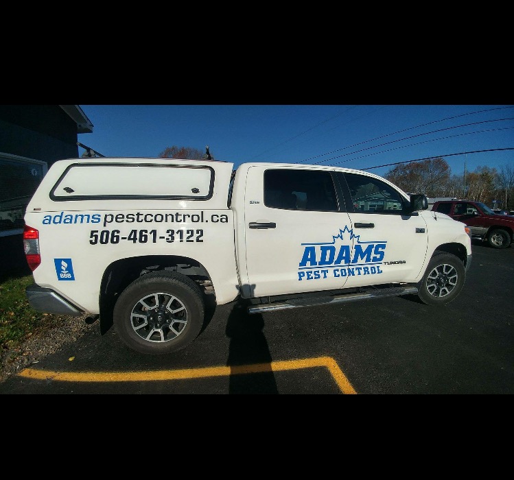 Moncton Pest Control - Adams Pest Control New Brunswick | 122 Thorncastle Cres, Lutes Mountain, NB E1G 0S5, Canada | Phone: (506) 233-7378