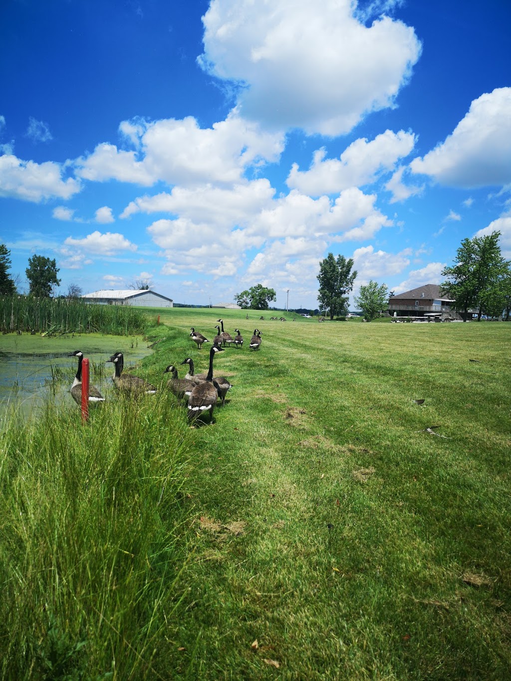 Westminster Trails Golf Course | 2465 Westminster Dr, London, ON N6N 1L7, Canada | Phone: (519) 668-6121