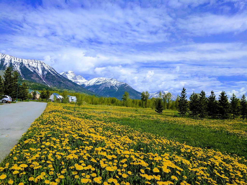 Pinnacle Ridge Resort | 5547 Vanlerberg Rd, East Kootenay C, BC V0B 1G0, Canada | Phone: (250) 423-2606
