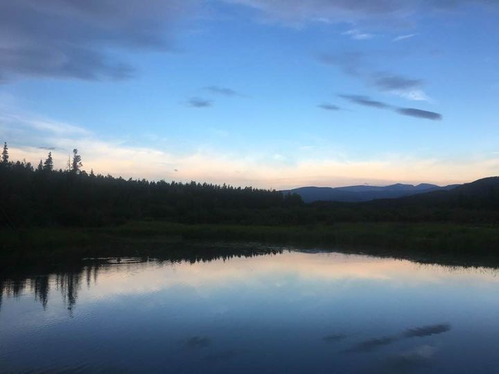 Canadian Violin Making Institute (CVMI) | 142 Hawk Eye Rd, Bragg Creek, AB T0L 0K0, Canada | Phone: (403) 471-9419